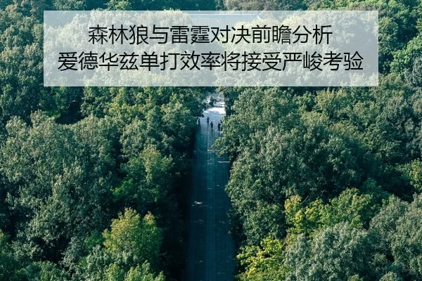 sen-lin-lang-yu-lei-ting-dui-jue-qian-zhan-fen-xi-ai-de-hua-zi-dan-da-xiao-lv-jiang-jie-shou-yan-jun-kao-yan-2-744.jpg